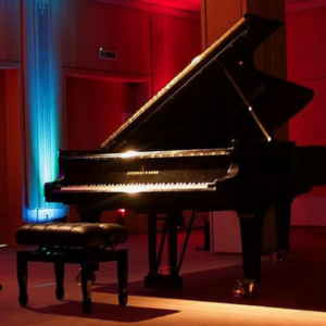 Steinway Flügel Bürgersaal Kreishaus SL (Foto: W. Neu)